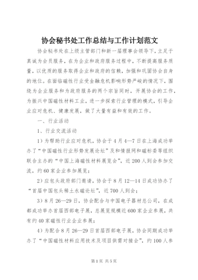 协会秘书处工作总结与工作计划范文.docx