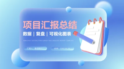 项目汇报总结咨询报告通用型模板
