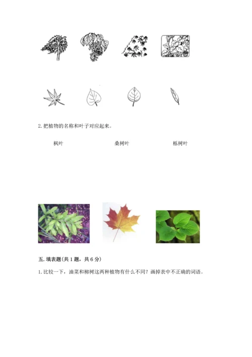 教科版科学一年级上册第一单元《植物》测试卷及完整答案（精选题）.docx