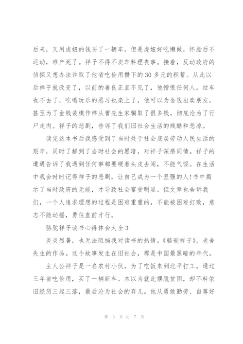 骆驼祥子读书心得体会大全.docx