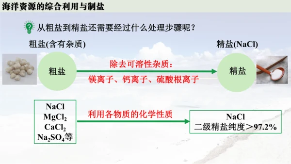 跨学科实践活动8  海洋资源的综合利用与制盐课件(共39张PPT内嵌视频)