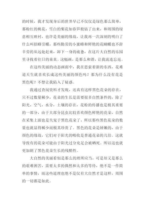 平凡中的发现作文600字.docx