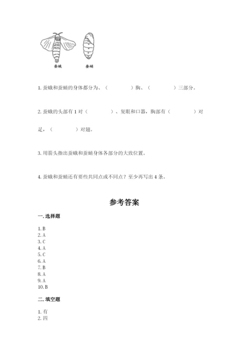 教科版小学科学三年级下册 期末测试卷精品（夺冠）.docx