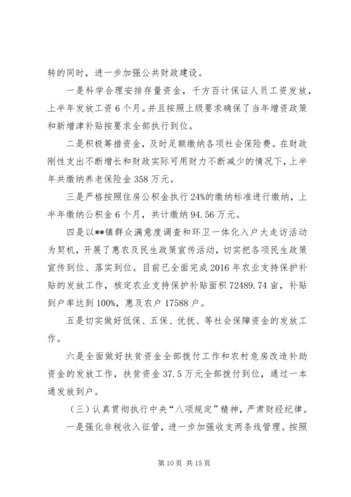 乡镇财政所半年总结范文_1.docx