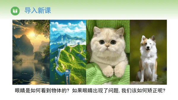 2024-2025学年人教版物理八年级上册5.4 眼睛和眼镜课件（24页ppt）