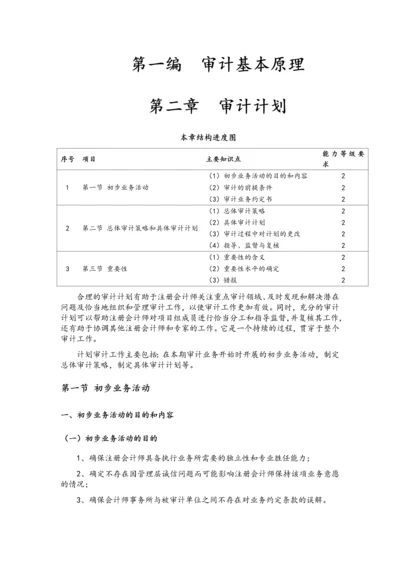 集团公司审计计划.docx