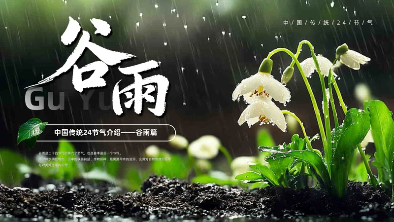 绿色系传统文化二十四节气谷雨主题PPT模板