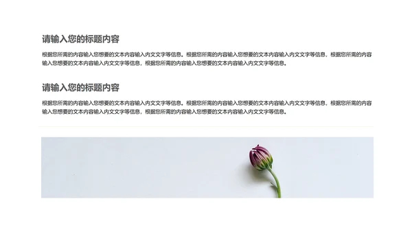 小清新总结汇报PPT模板