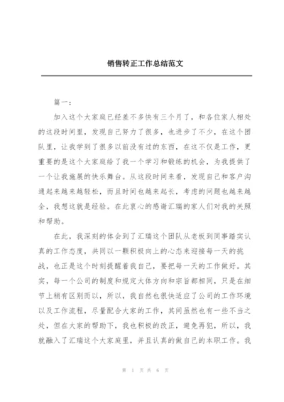 销售转正工作总结范文.docx