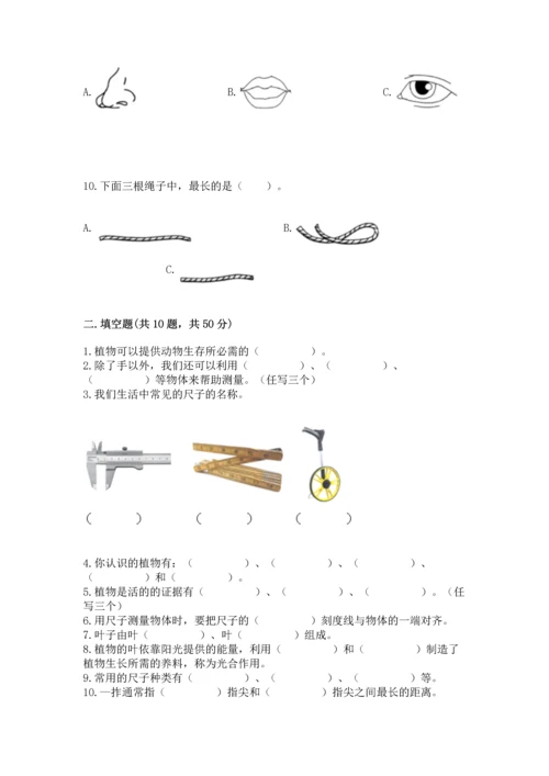 教科版科学一年级上册期末测试卷精品【网校专用】.docx