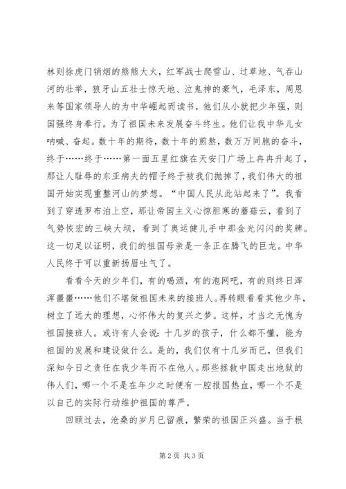 学习体会(天下兴亡,我的责任) (4).docx