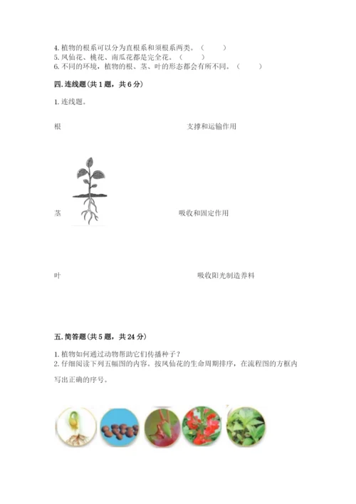 教科版四年级下册科学第一单元《植物的生长变化》测试卷【满分必刷】.docx