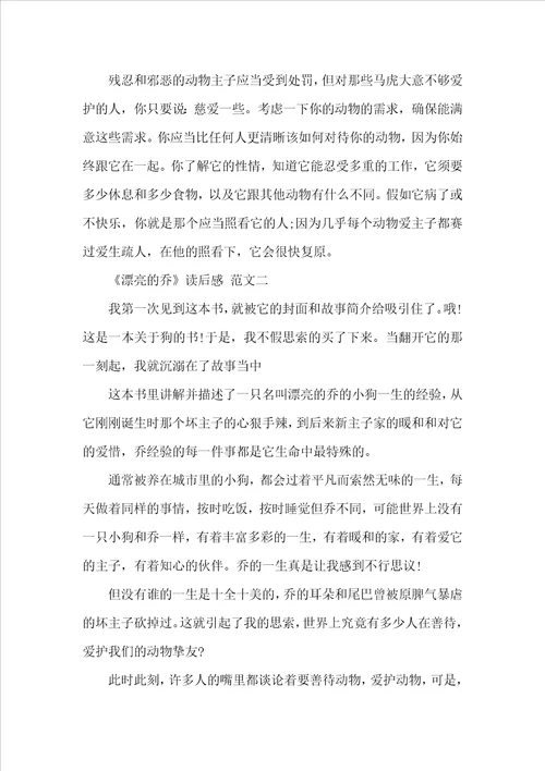 美丽的乔读后感美丽的乔读后感范文600字