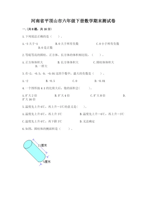 河南省平顶山市六年级下册数学期末测试卷附参考答案（突破训练）.docx