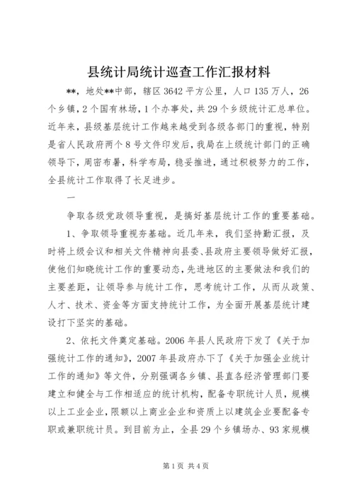 县统计局统计巡查工作汇报材料 (3).docx