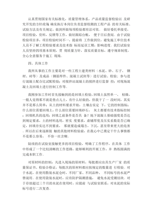 监理工程师终个人工作总结.docx