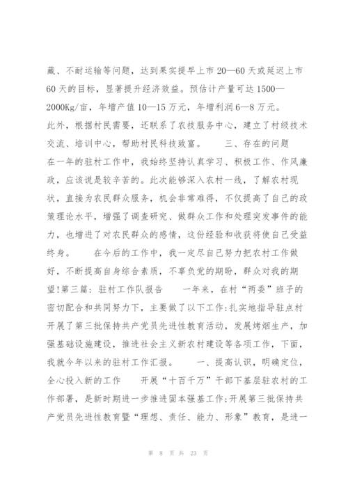 驻村工作队报告(通用6篇).docx