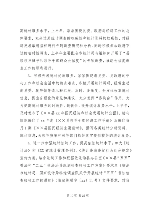 市统计局上半年工作总结及下半年工作计划(精选多篇).docx