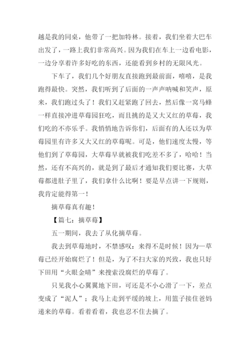 摘草莓的作文300字.docx