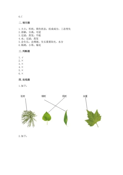 教科版科学一年级上册第一单元《植物》测试卷【达标题】.docx