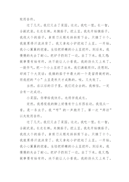 姥姥家的小菜园作文.docx