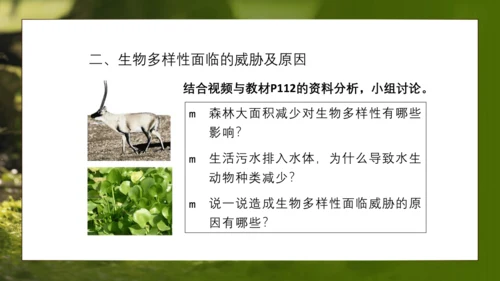 人教版生物八年级上册6.3《保护生物的多样性》课件(共27张PPT)