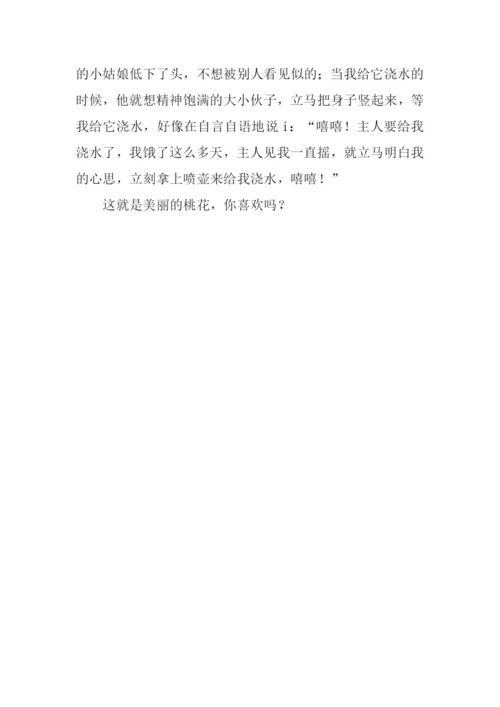 有关描写桃花的作文.docx