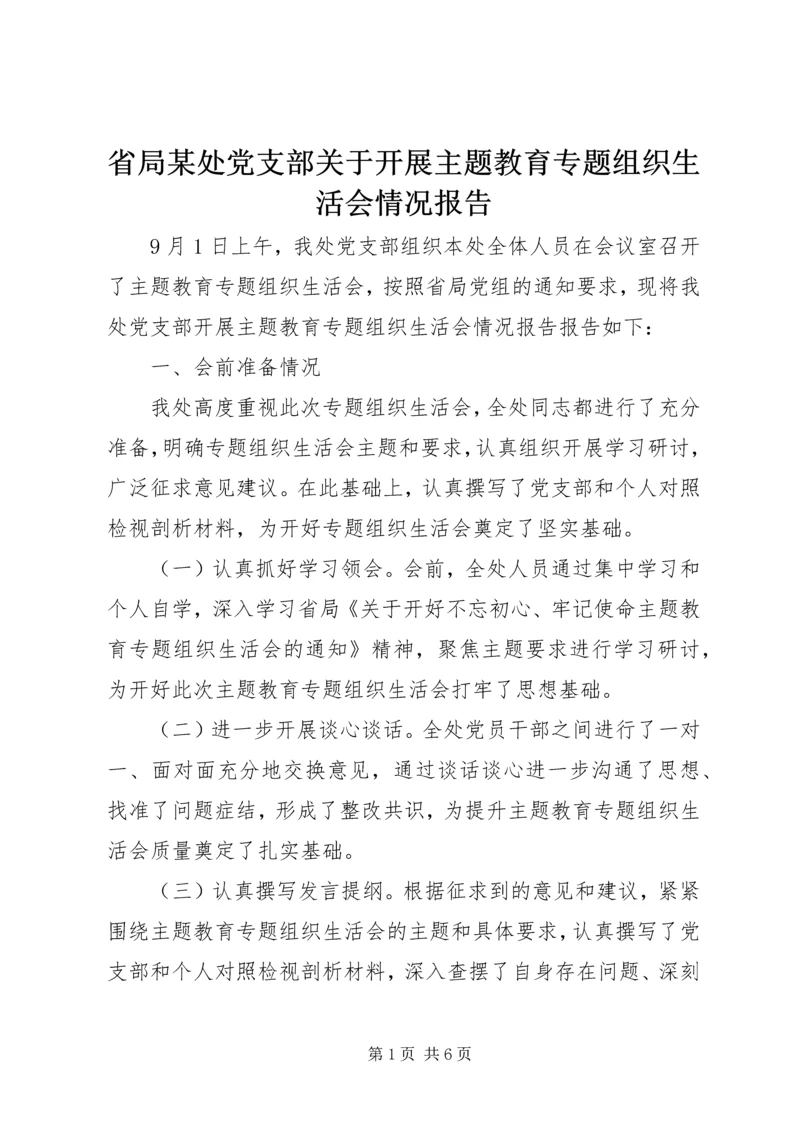 省局某处党支部关于开展主题教育专题组织生活会情况报告.docx