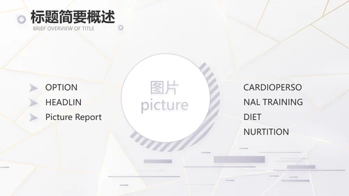 公司品牌策划方案工作总结计划PPT