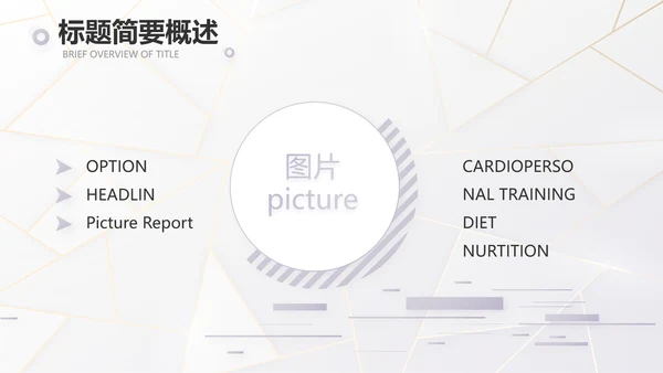 公司品牌策划方案工作总结计划PPT