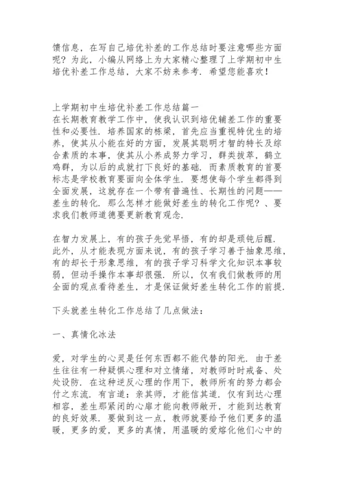 初中教师培优补差工作总结春季学期.docx