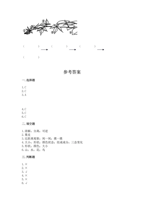 教科版科学一年级上册第一单元《植物》测试卷附完整答案（全优）.docx