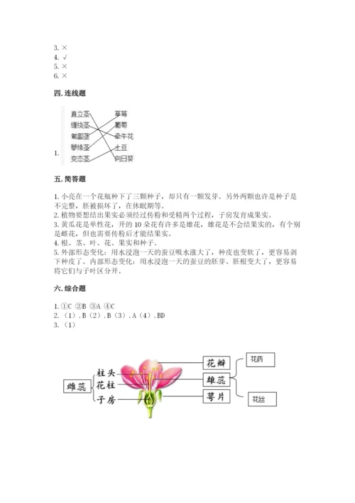 科学四年级下册第一单元植物的生长变化测试卷【精华版】.docx
