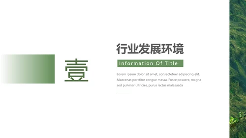 绿色自然风品牌形象策划PPT模板
