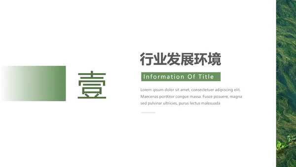 绿色自然风品牌形象策划PPT模板
