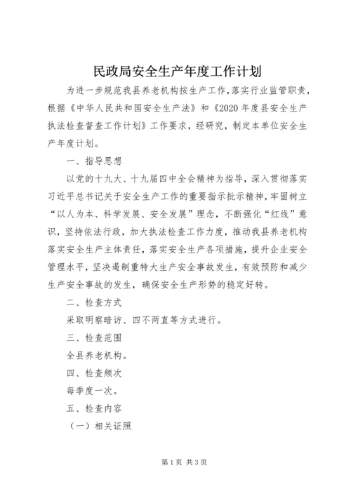 民政局安全生产年度工作计划.docx