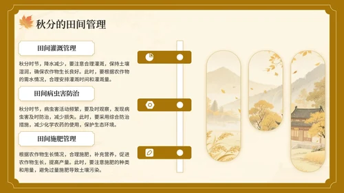 棕色中国风秋分节气介绍主题班会PPT模板