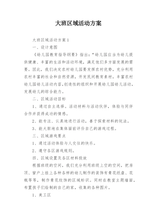 大班区域活动方案.docx