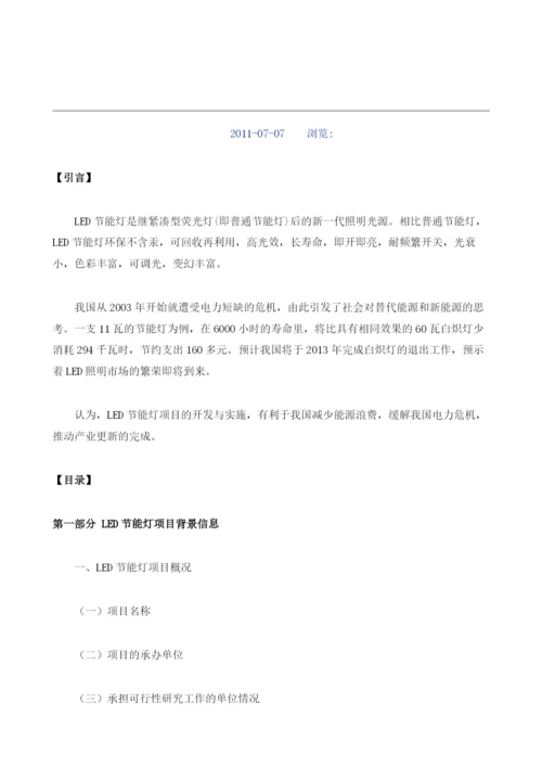 LED节能灯项目资金申请报告编制大纲.docx