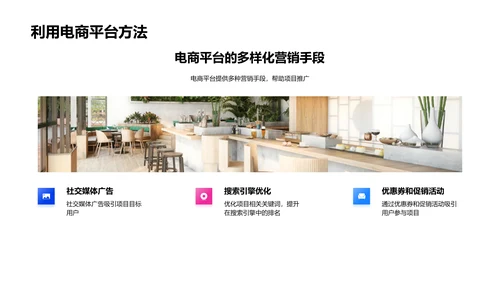 旅游项目电商化实施PPT模板