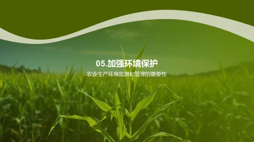 绿色农业：玉米种植新篇章