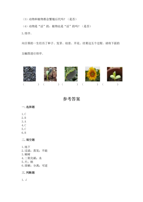 教科版科学一年级上册第一单元《植物》测试卷（b卷）word版.docx