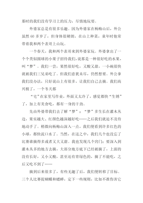 难忘的时刻作文800字.docx