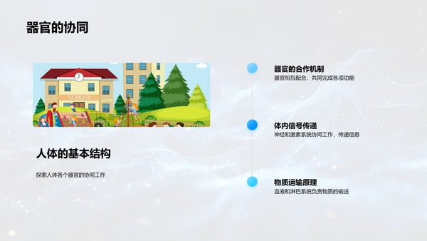 解析人体科学PPT模板