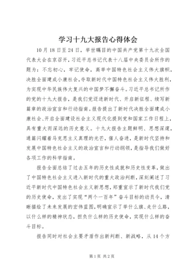 学习十九大报告心得体会 (5).docx