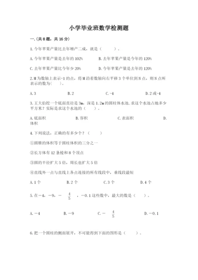 小学毕业班数学检测题（名师系列）.docx