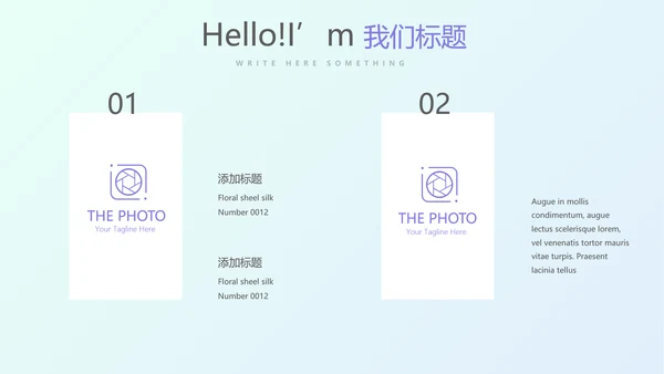 炫彩时尚公司产品介绍宣传通用PPT动态模板