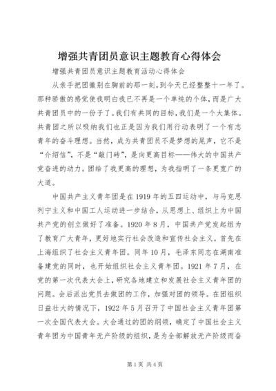 增强共青团员意识主题教育心得体会 (9).docx