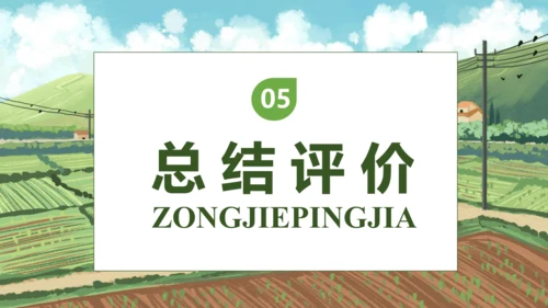 【核心素养】部编版语文四年级下册-2.乡下人家 第2课时（课件）
