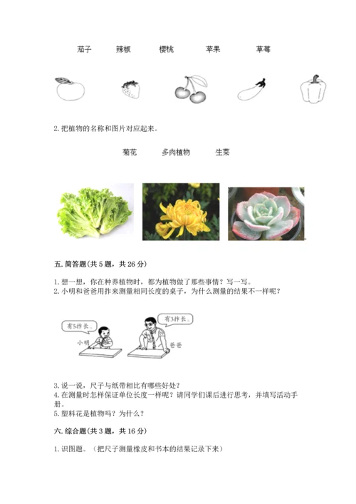 教科版一年级上册科学期末测试卷带精品答案.docx